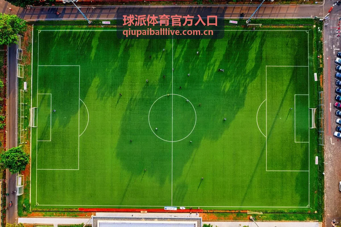 球派体育官方入口热刺队赛事直播